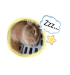 うさぎの若2（個別スタンプ：4）