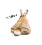 うさぎの若2（個別スタンプ：6）