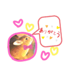 うさぎの若2（個別スタンプ：8）