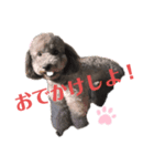 わたしの可愛いベラちゃん❤️（個別スタンプ：2）