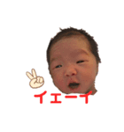 ひなこ日和（個別スタンプ：1）