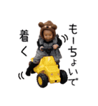 くま子  スタンプ（個別スタンプ：14）