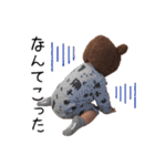 くま子  スタンプ（個別スタンプ：30）