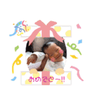 ❁Liko❁  No.1（個別スタンプ：19）