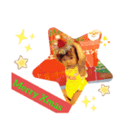 ❁Liko❁  No.1（個別スタンプ：23）