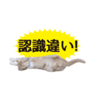 IT戦士のための猫スタンプ（個別スタンプ：32）