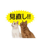 IT戦士のための猫スタンプ（個別スタンプ：39）