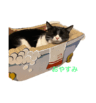 ハオ2（個別スタンプ：2）
