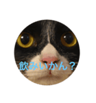 ハオ2（個別スタンプ：8）
