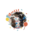 犬まみれ！可愛いわんちゃん大集合！（個別スタンプ：10）