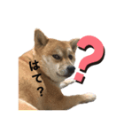とっぷとたび2（個別スタンプ：1）