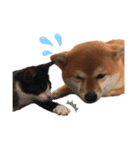 とっぷとたび2（個別スタンプ：3）