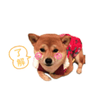 とっぷとたび2（個別スタンプ：5）
