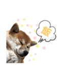 とっぷとたび2（個別スタンプ：7）
