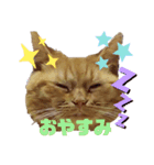 わが家のキング2（個別スタンプ：8）