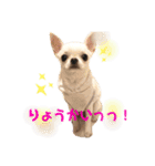 スムチー かわいい日常使い あいさつ（個別スタンプ：10）
