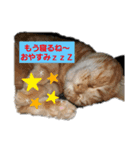 動物のあいさつ♡（個別スタンプ：1）