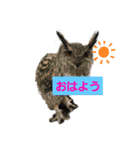 動物のあいさつ♡（個別スタンプ：5）