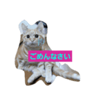 動物のあいさつ♡（個別スタンプ：6）