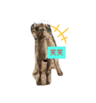 動物のあいさつ♡（個別スタンプ：8）