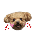 Nattsuすたんぷ（個別スタンプ：1）