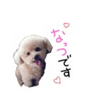 Nattsuすたんぷ（個別スタンプ：2）