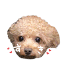 Nattsuすたんぷ（個別スタンプ：4）