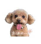 Nattsuすたんぷ（個別スタンプ：9）