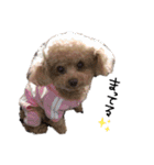 Nattsuすたんぷ（個別スタンプ：14）