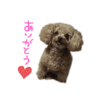 Nattsuすたんぷ（個別スタンプ：15）