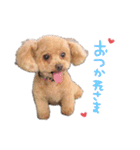 Nattsuすたんぷ（個別スタンプ：18）