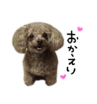 Nattsuすたんぷ（個別スタンプ：20）