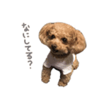 Nattsuすたんぷ（個別スタンプ：21）