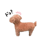 Nattsuすたんぷ（個別スタンプ：23）