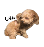 Nattsuすたんぷ（個別スタンプ：27）