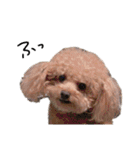 Nattsuすたんぷ（個別スタンプ：29）