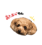 Nattsuすたんぷ（個別スタンプ：31）