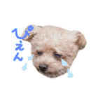 Nattsuすたんぷ（個別スタンプ：32）