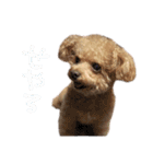 Nattsuすたんぷ（個別スタンプ：33）