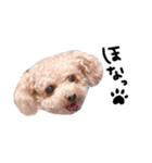 Nattsuすたんぷ（個別スタンプ：34）