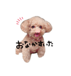 Nattsuすたんぷ（個別スタンプ：35）