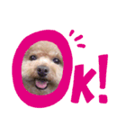 Nattsuすたんぷ（個別スタンプ：40）