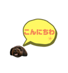 ★ポメプーロア君★スタンプ3シンプル編（個別スタンプ：7）