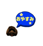 ★ポメプーロア君★スタンプ3シンプル編（個別スタンプ：9）