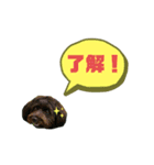 ★ポメプーロア君★スタンプ3シンプル編（個別スタンプ：14）