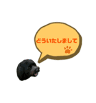 ★ポメプーロア君★スタンプ3シンプル編（個別スタンプ：19）