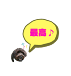 ★ポメプーロア君★スタンプ3シンプル編（個別スタンプ：32）