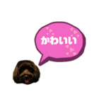 ★ポメプーロア君★スタンプ3シンプル編（個別スタンプ：33）