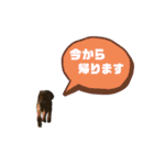 ★ポメプーロア君★スタンプ3シンプル編（個別スタンプ：37）