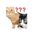チャイラテver.2（個別スタンプ：3）